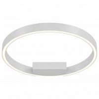 Накладной светильник Maytoni Rim MOD058CL-L25W4K. Фото №1