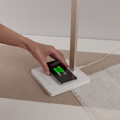 Настольная лампа офисная Elektrostandard TL90510 a039562 фото Настольная лампа офисная Elektrostandard TL90510 a039562. Фото №2