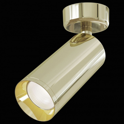 Спот Maytoni Focus C017CW-01G. Фото