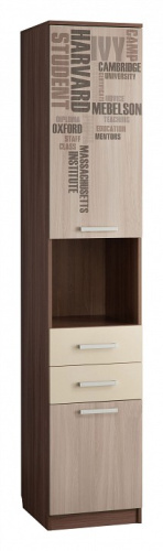 Колледж Шкаф комбинированный (Малый) Ясень шимо т. /Крем. Фото №1