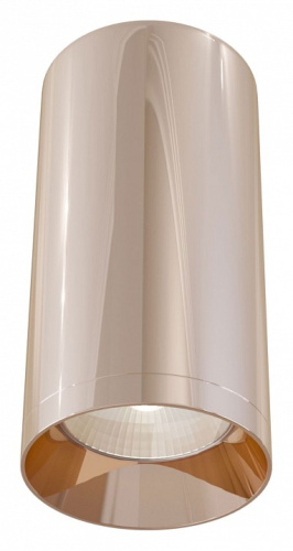 Накладной светильник Maytoni Alfa C010CL-01RG. Фото №1