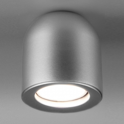 Накладной светильник Elektrostandard DLN116 a050674. Фото №1